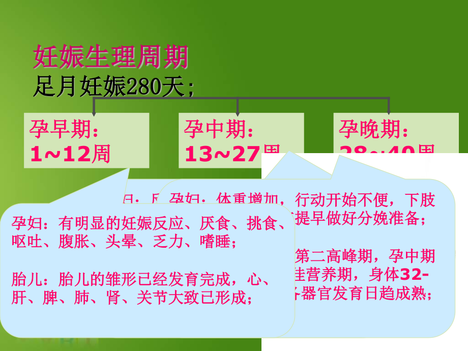 4.4孕妇哺乳期妇女营养与膳食0.ppt_第3页