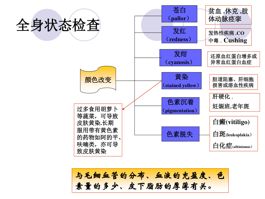 一般检查皮肤分解.ppt_第3页