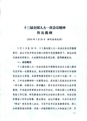 十三届全国人大一次会议精神22.pdf