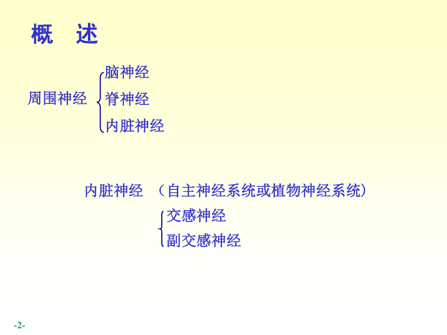 52-周围神经系统脑、脊神经.ppt_第2页