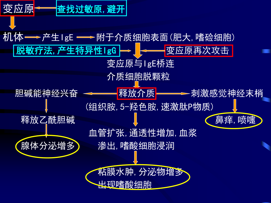 3鼻外伤出血过敏.ppt_第3页