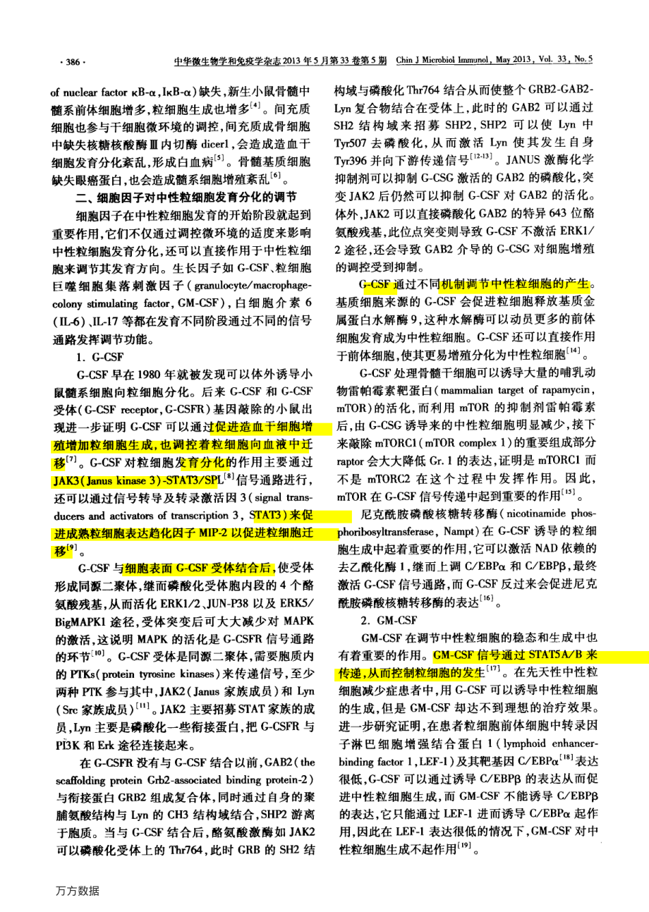 中性粒细胞发育分化调控机制.pdf_第2页