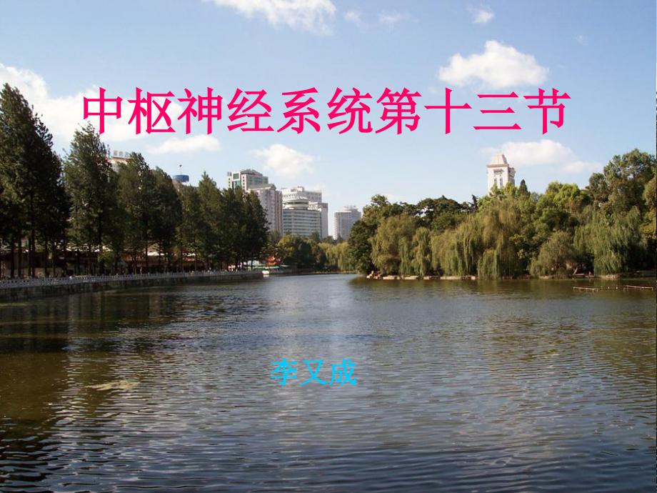 中枢椎管脊髓病变.ppt_第1页