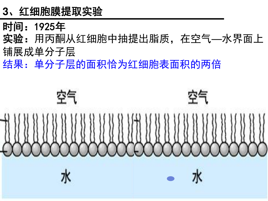 一轮复习：细胞膜流动镶嵌模型.ppt_第3页