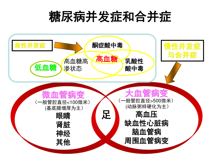 丁大糖尿病医院：糖尿病急性并发症概要.ppt_第3页