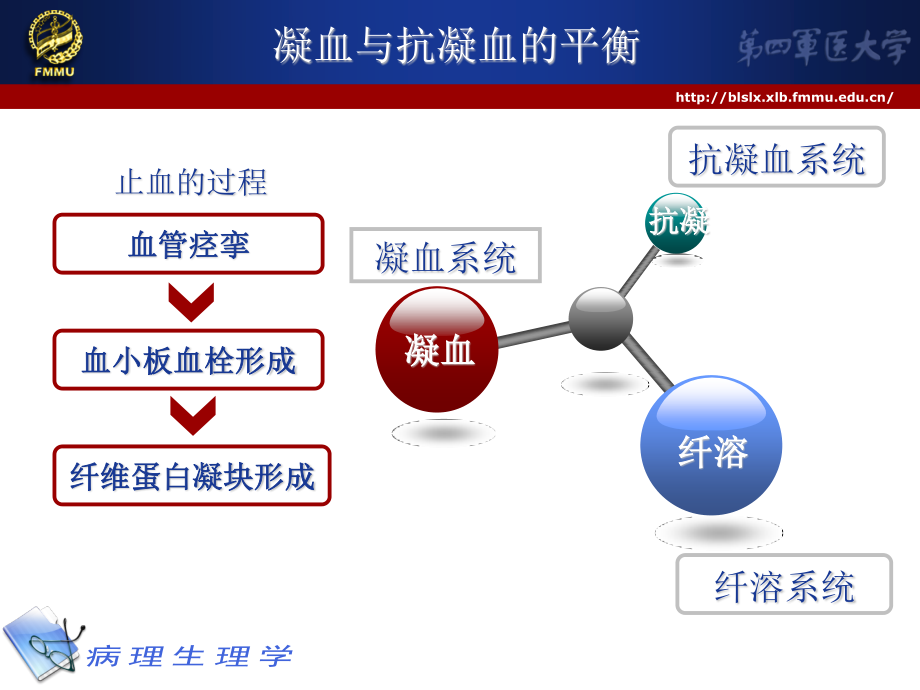 凝血和抗凝.ppt_第2页