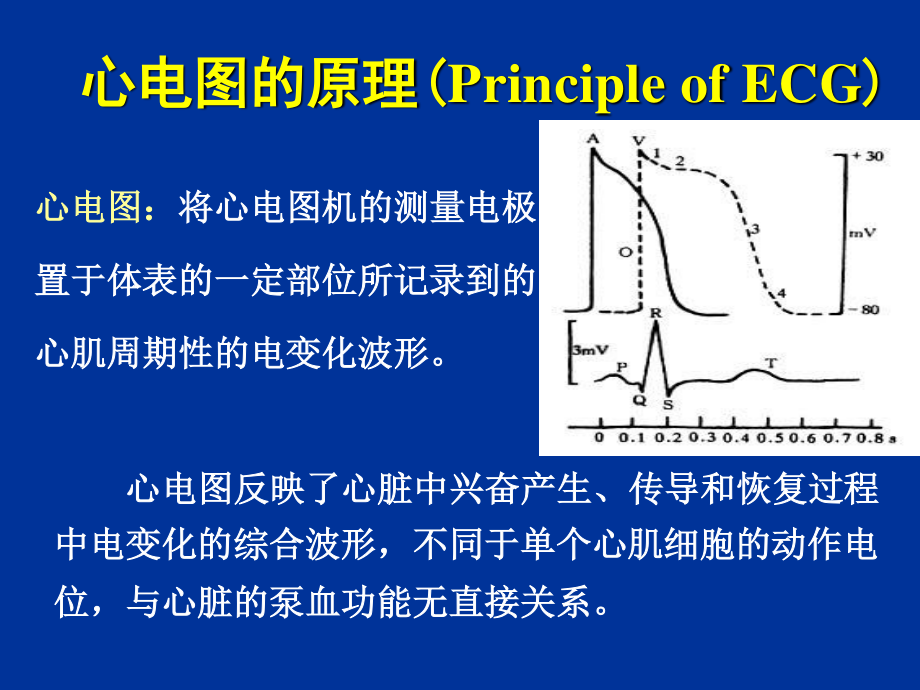 人体心电图及血压测量-zhou.ppt_第3页