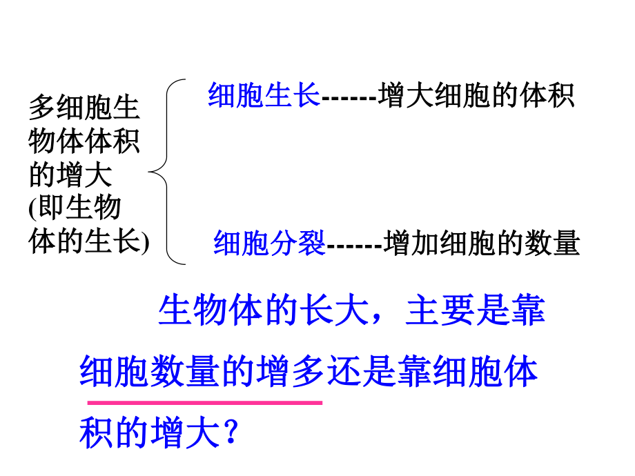 6.1细胞增殖.ppt_第2页