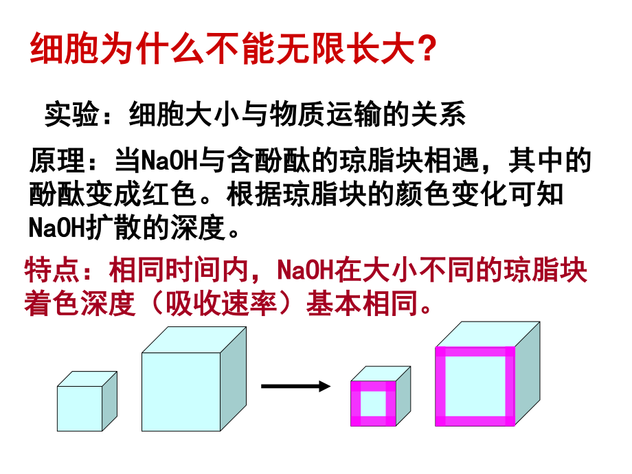 6.1细胞增殖.ppt_第3页