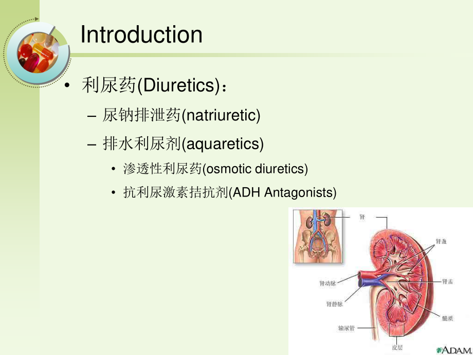 8-利尿药.ppt_第3页