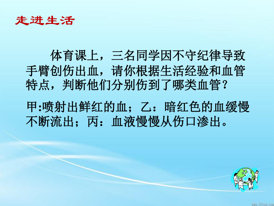 动脉静脉毛细血管.ppt_第2页