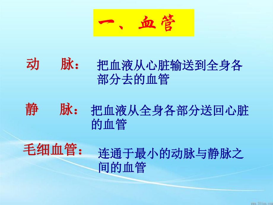 动脉静脉毛细血管.ppt_第3页