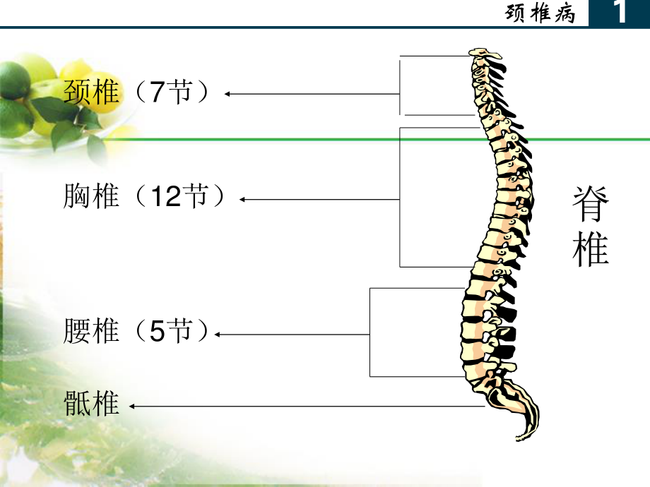 办公室常见病与健康.ppt_第3页