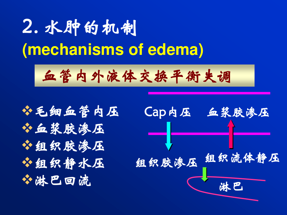 3水电-2水肿.ppt_第3页