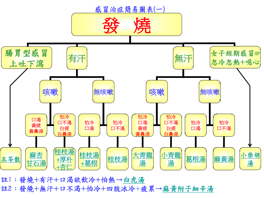 南加州倪师弟子张孟超医师之感冒治症简易图表(修订版)概述.ppt_第1页