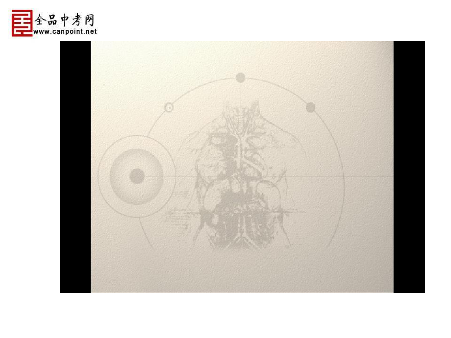 8-3人体特征.ppt_第3页