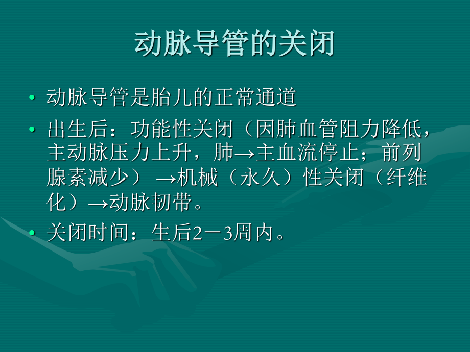 动脉导管未闭.ppt_第3页