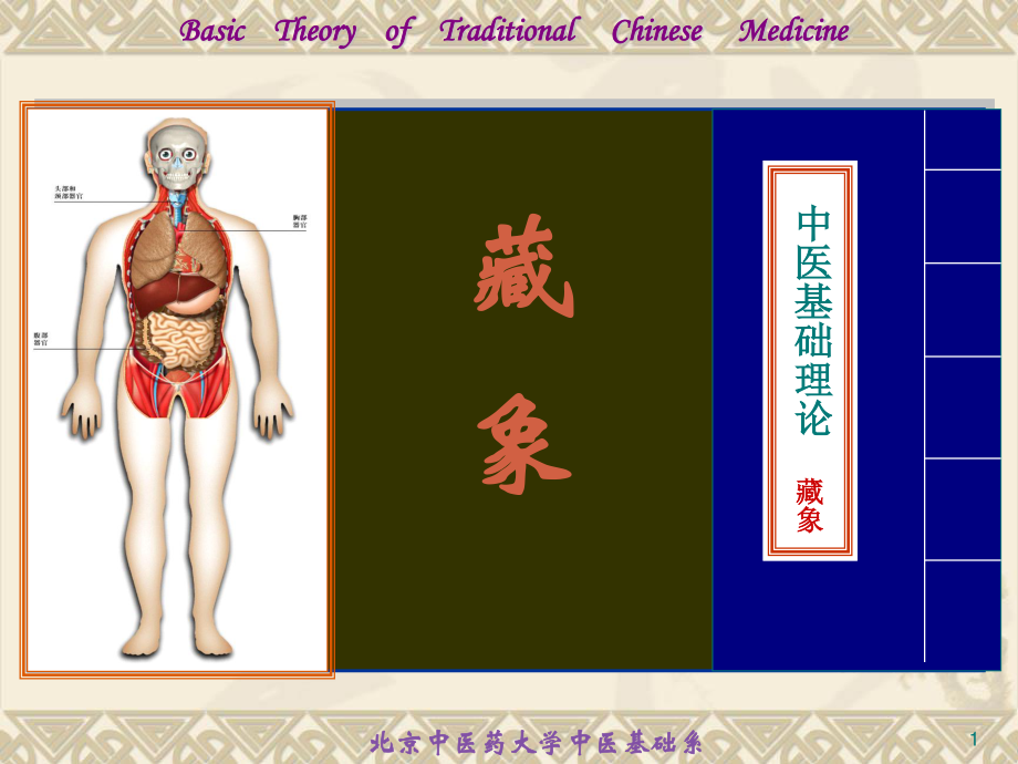 6藏象学说-五脏肺概述.ppt_第1页