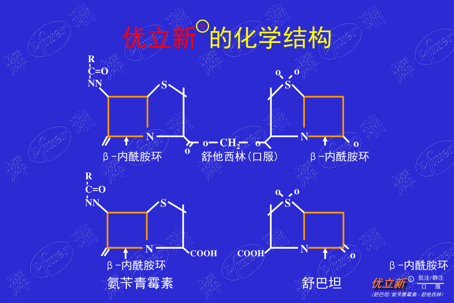 优立新-一线首选抗感染的合理用药.ppt_第2页