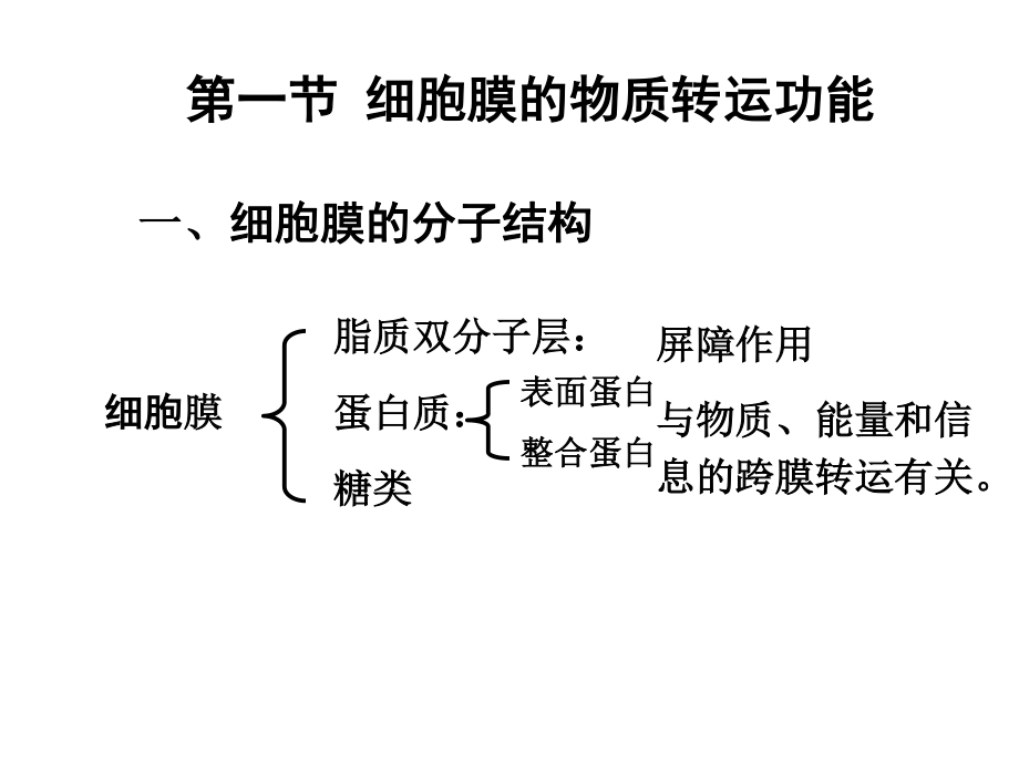 D细胞的基本功能.ppt_第1页