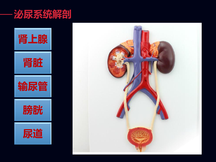 CT尿路成像.pptx_第2页