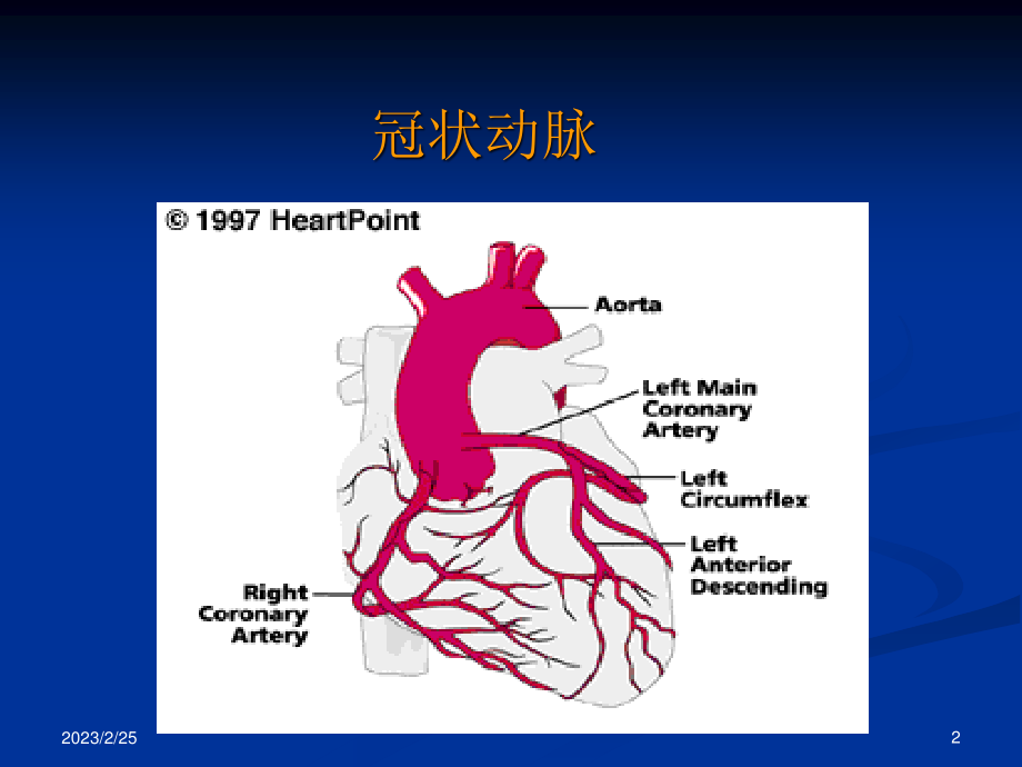 冠状动脉粥样硬化性心脏病2013第八版.ppt_第2页