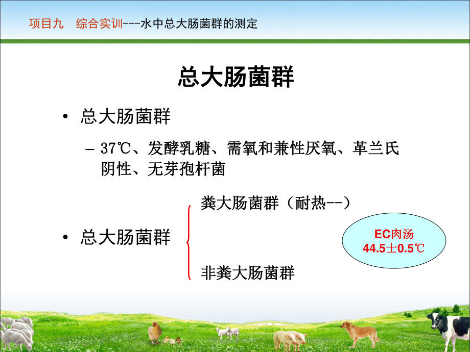 任务二水中大肠菌群数的测定(精).ppt_第3页