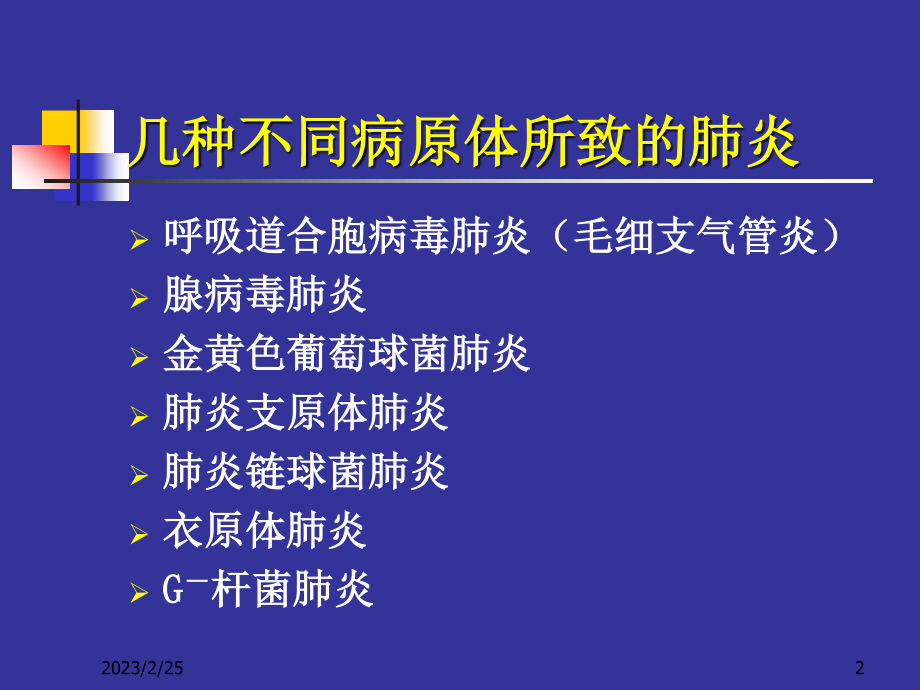 几种不同病原肺炎新模板.ppt_第2页