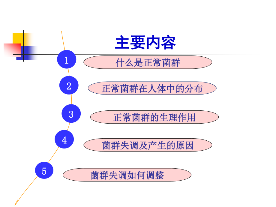 人体中的正常菌群概要.ppt_第3页