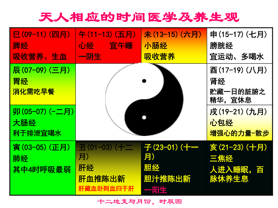 人体阴阳五行八卦之看图说话...ppt_第2页