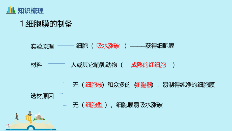 一轮复习细胞膜与细胞核.pptx_第3页