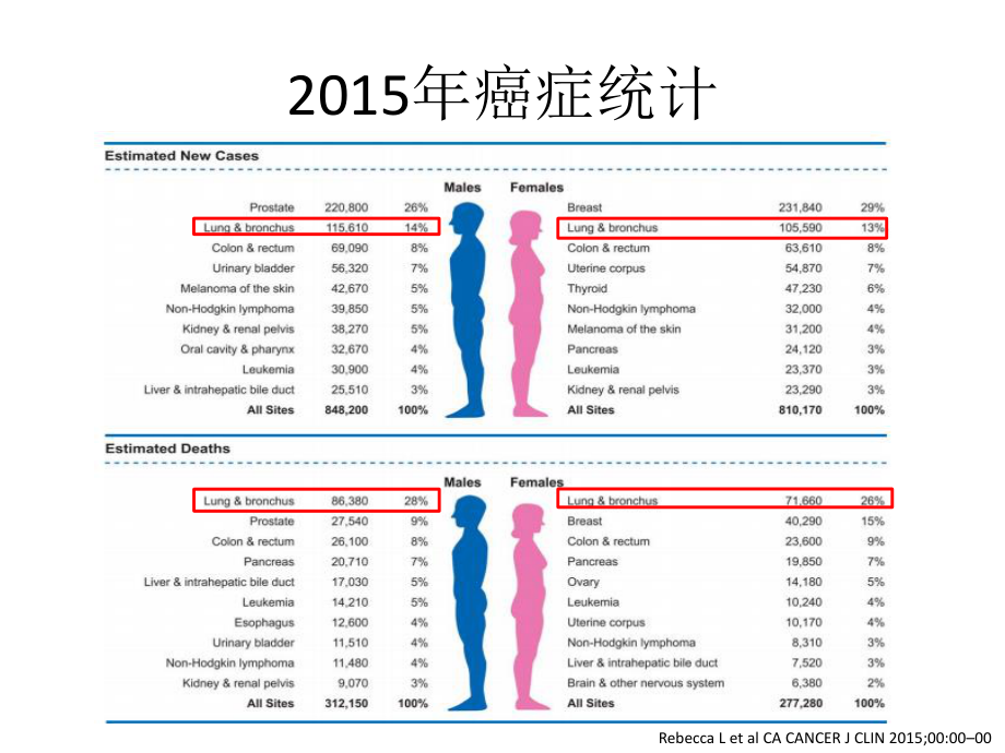 中国肺癌诊疗规范2015版解读.ppt_第3页