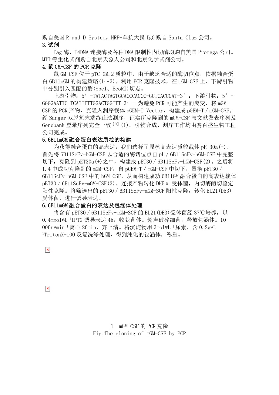 卵巢癌抗独特型单链抗体6B11ScFvmGM-CSF融合蛋白(精).doc_第3页