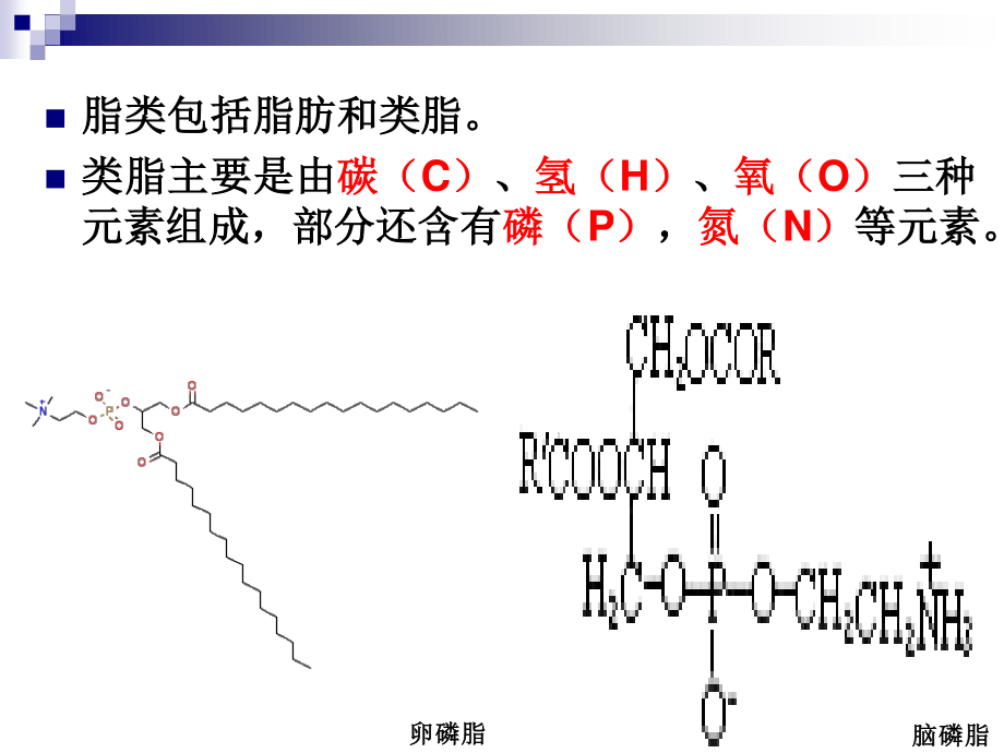 《烹饪营养学》第五讲-脂-类-2017版.ppt_第3页