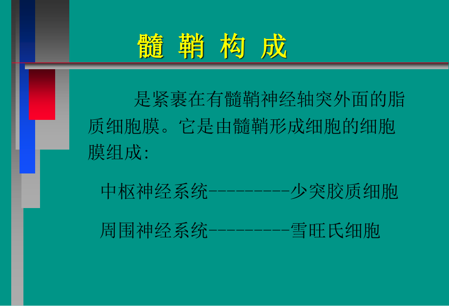 中枢神经系统脱髓壳病(详细).ppt_第3页