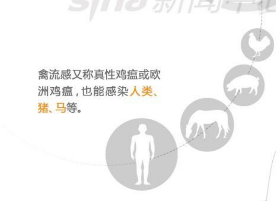 人感染H7N9禽流感诊治流程.ppt_第3页