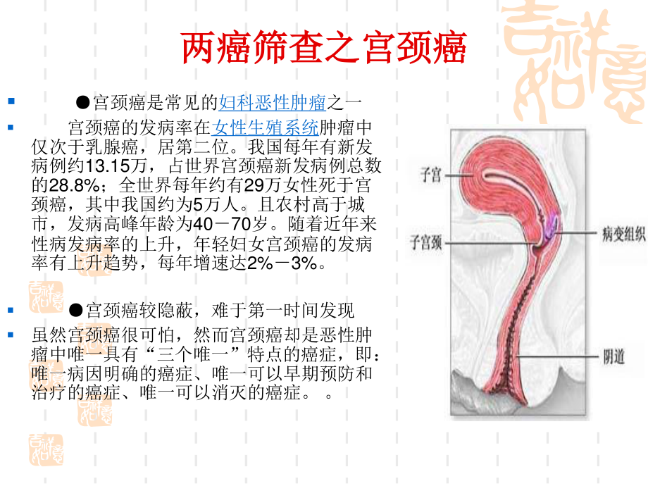 关注女性健康-开展两癌筛查.ppt_第3页