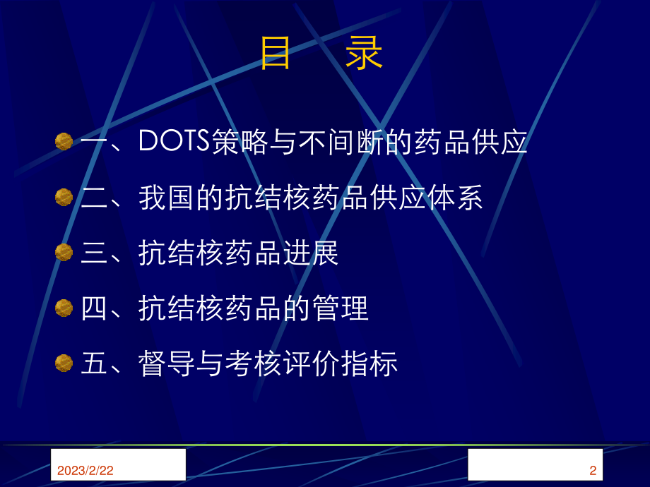 DOTS与药品.ppt_第2页