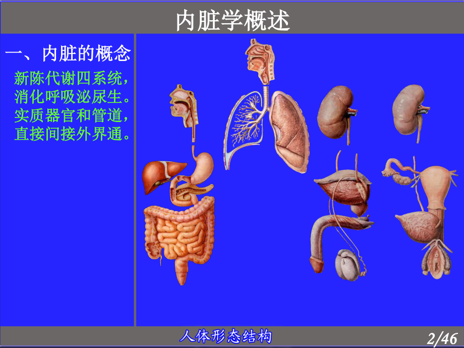 6.消化管(厦门医高专).ppt_第2页