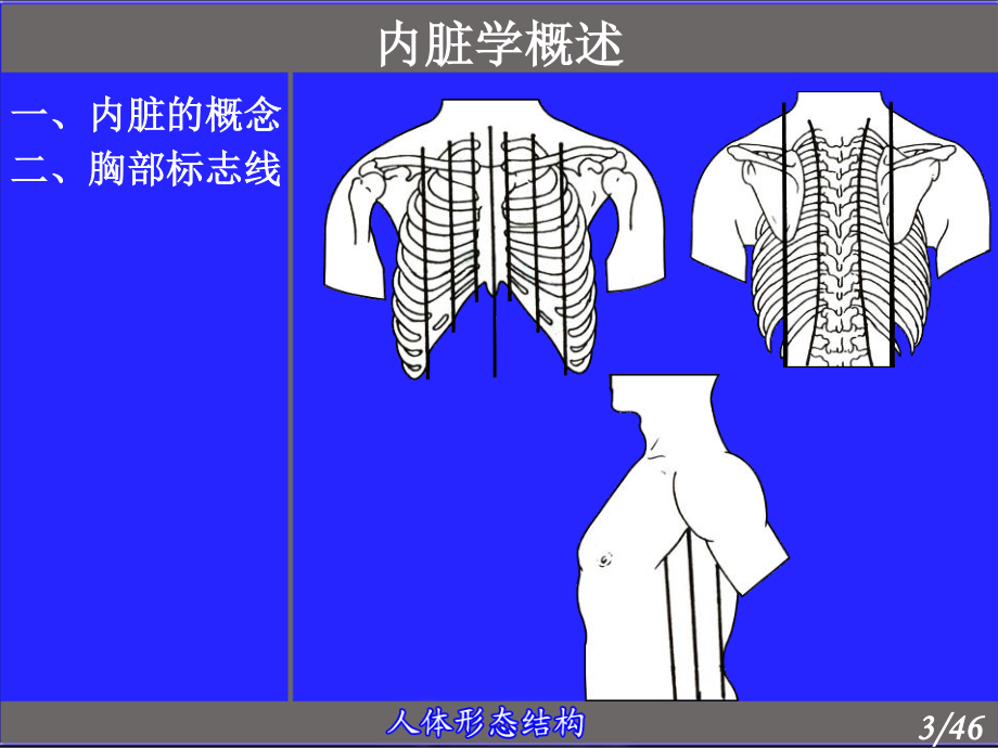 6.消化管(厦门医高专).ppt_第3页