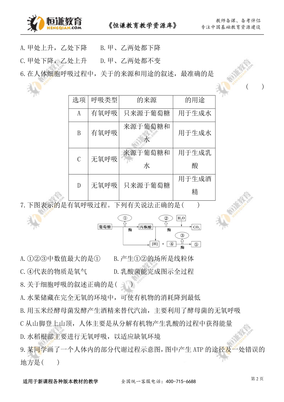 ATP的主要来源---细胞呼吸.doc_第2页