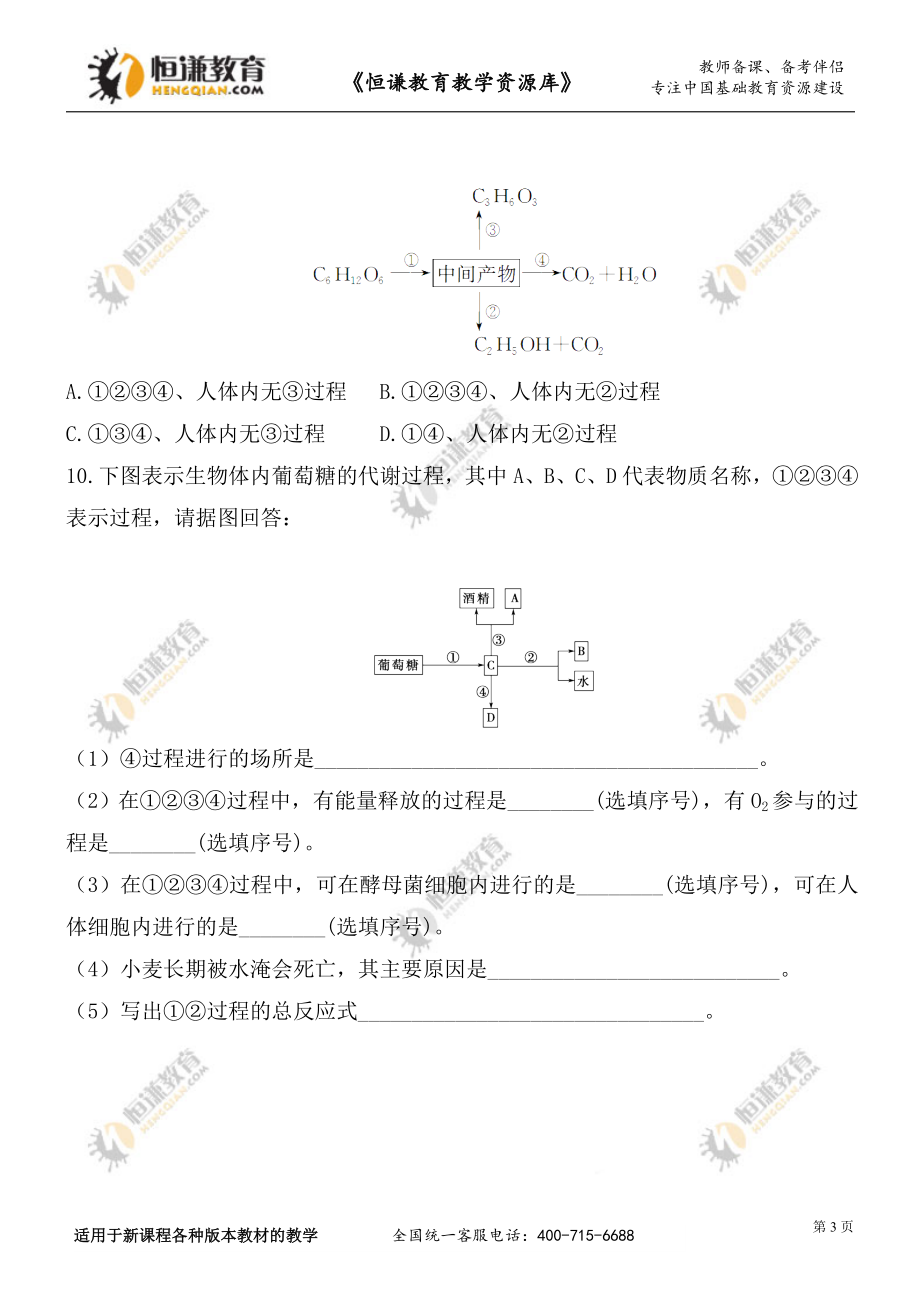 ATP的主要来源---细胞呼吸.doc_第3页