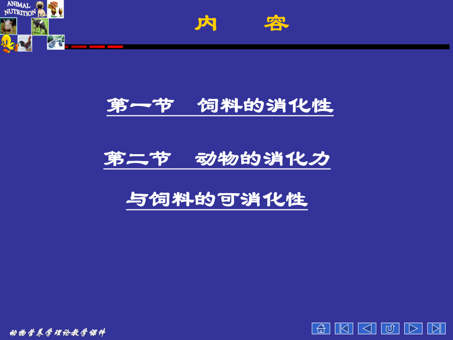 动物营养学--第二章--动物对饲料的消化.ppt_第3页