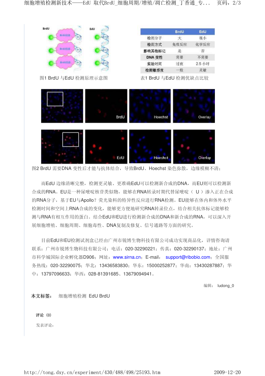 EdU检测细胞增殖.pdf_第2页