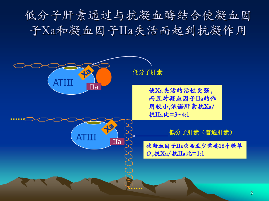 低分子肝素是不同介绍.ppt_第3页