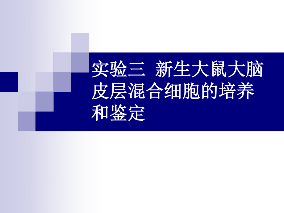 一哺乳动物细胞的培养冻存和融合.ppt_第1页