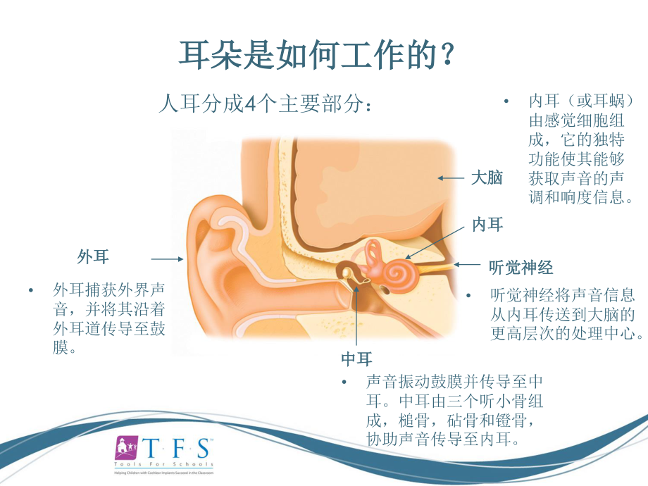 CIEP讲稿---人工耳蜗知识入门.ppt_第3页