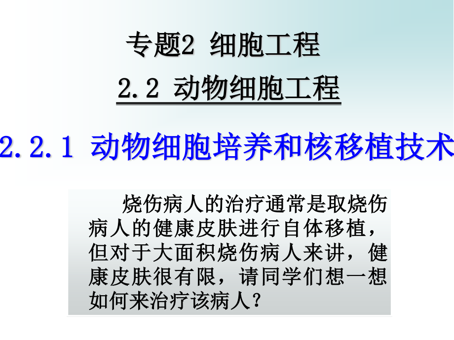 动物细胞培养和核移植技术上课.ppt_第1页