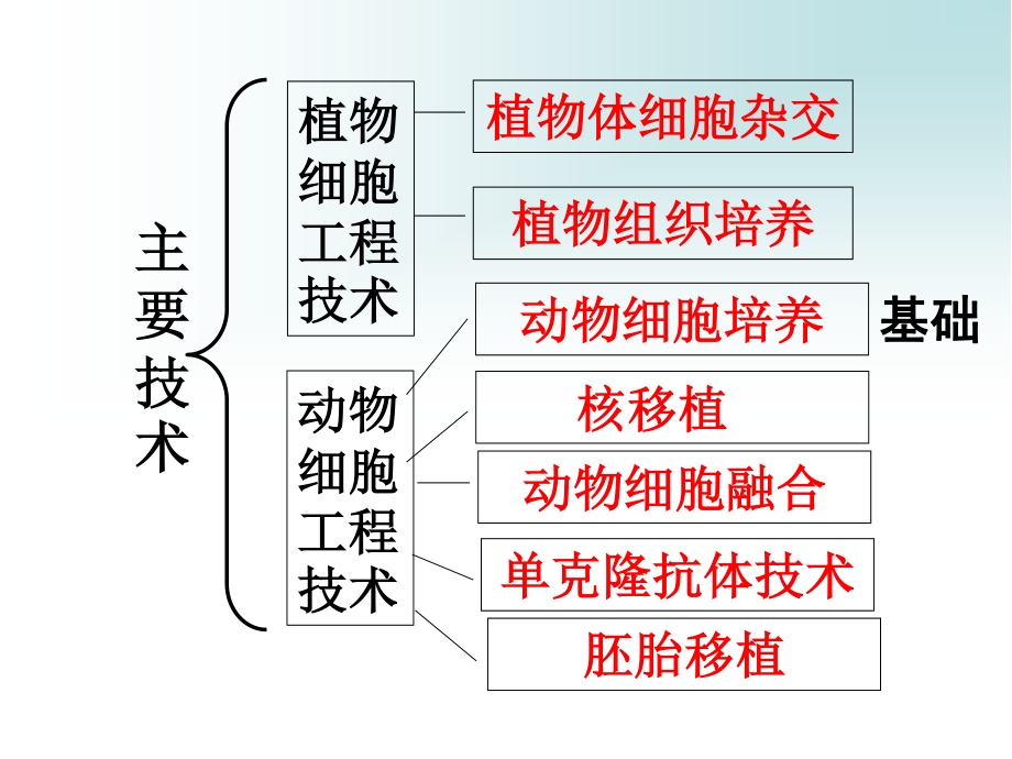 动物细胞培养和核移植技术上课.ppt_第2页