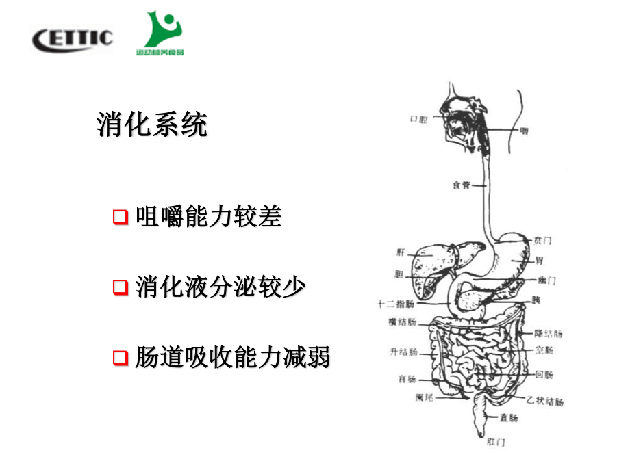 中老人运动营养.ppt_第3页